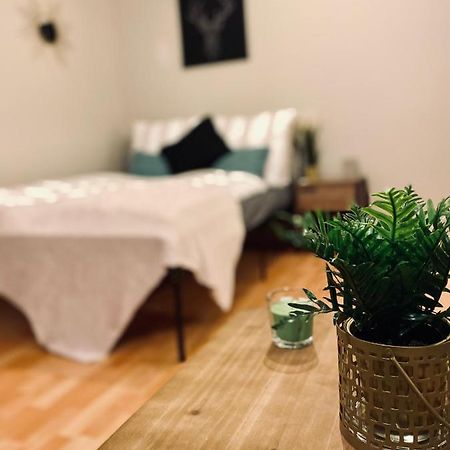 Saniertes Studio mit Balkon, WLAN, Netflix&Küche in City-Nähe Érfurt Exterior foto